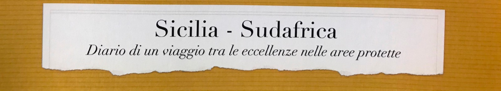 Internazionalizzazione